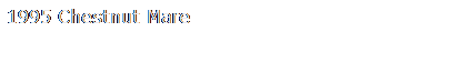 Text Box: 1995 Chestnut Mare
